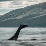 What Are the Most Compelling Sonar Detections of the Loch Ness Monster? - Unexplained Mysteries