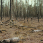 What Are the Secrets Behind the Tunguska Event: An Unexplained Scientific Anomaly? - Unexplained Mysteries