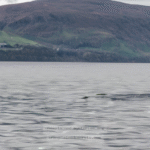What Can Sonar Detections Reveal About the Loch Ness Monster Mystery? - Unexplained Mysteries