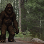 What Can the Patterson-Gimlin Film Reveal About the Existence of Bigfoot? - Unexplained Mysteries