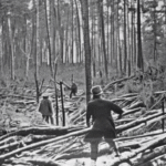 What Causes the Mysterious Tunguska Event of 1908 and Why Is It Still Unexplained? - Unexplained Mysteries
