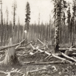 What Causes the Mysterious Tunguska Event of 1908? - Unexplained Mysteries