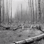What Causes the Unexplained Anomalies of the Tunguska Event? - Unexplained Mysteries