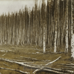 What is the Mystery Behind the Tunguska Event of 1908? - Unexplained Mysteries