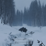 What Lies Beneath: The Mystery of the Dyatlov Pass Incident and Its Paranormal Connotations? - Unexplained Mysteries