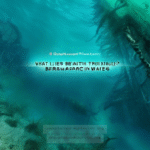 What Lies Beneath the Waves? Exploring the Mysterious Disappearances in the Bermuda Triangle - Unexplained Mysteries