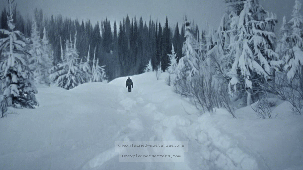 What Really Happened at the Dyatlov Pass? Exploring the Unexplained Mystery of Paranormal Phenomena - Unexplained Mysteries