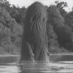 What Really Happened During the 1976 Lake Worth Monster Sightings in Texas? - Unexplained Mysteries