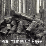 What Secrets Lie Behind the Tunguska Event of 1908? - Unexplained Mysteries