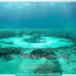 What Secrets Lie Beneath the Waves of the Bermuda Triangle? - Unexplained Mysteries