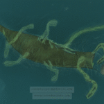 What Secrets Lurk Beneath the Surface of Lake Champlain: The Ongoing Mystery of Champ? - Unexplained Mysteries