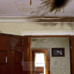 What Secrets Lurk Within the Walls of the Infamous Whaley House in San Diego? - Unexplained Mysteries
