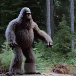 What Was the Significance of the 1967 Patterson-Gimlin Film in the Search for Bigfoot? - Unexplained Mysteries